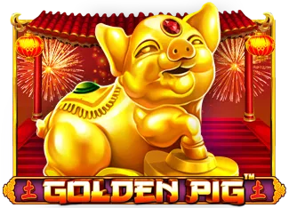 Golden Pig - STOREBET77