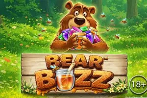 Playtech : Bear Buzz - STOREBET77
